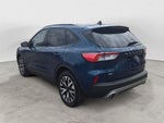 2020 Ford Escape Hybrid SE Sport Hybrid